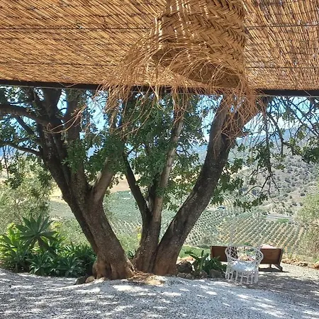 Casa Del Sueno Bed and breakfast Álora