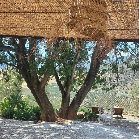 Casa Del Sueno Bed & Breakfast Alora