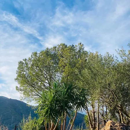 Casa Del Sueno לינה וארוחת בוקר